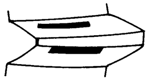 FX݆͜pX݆g(sh)Zӹ݆X|zԇ